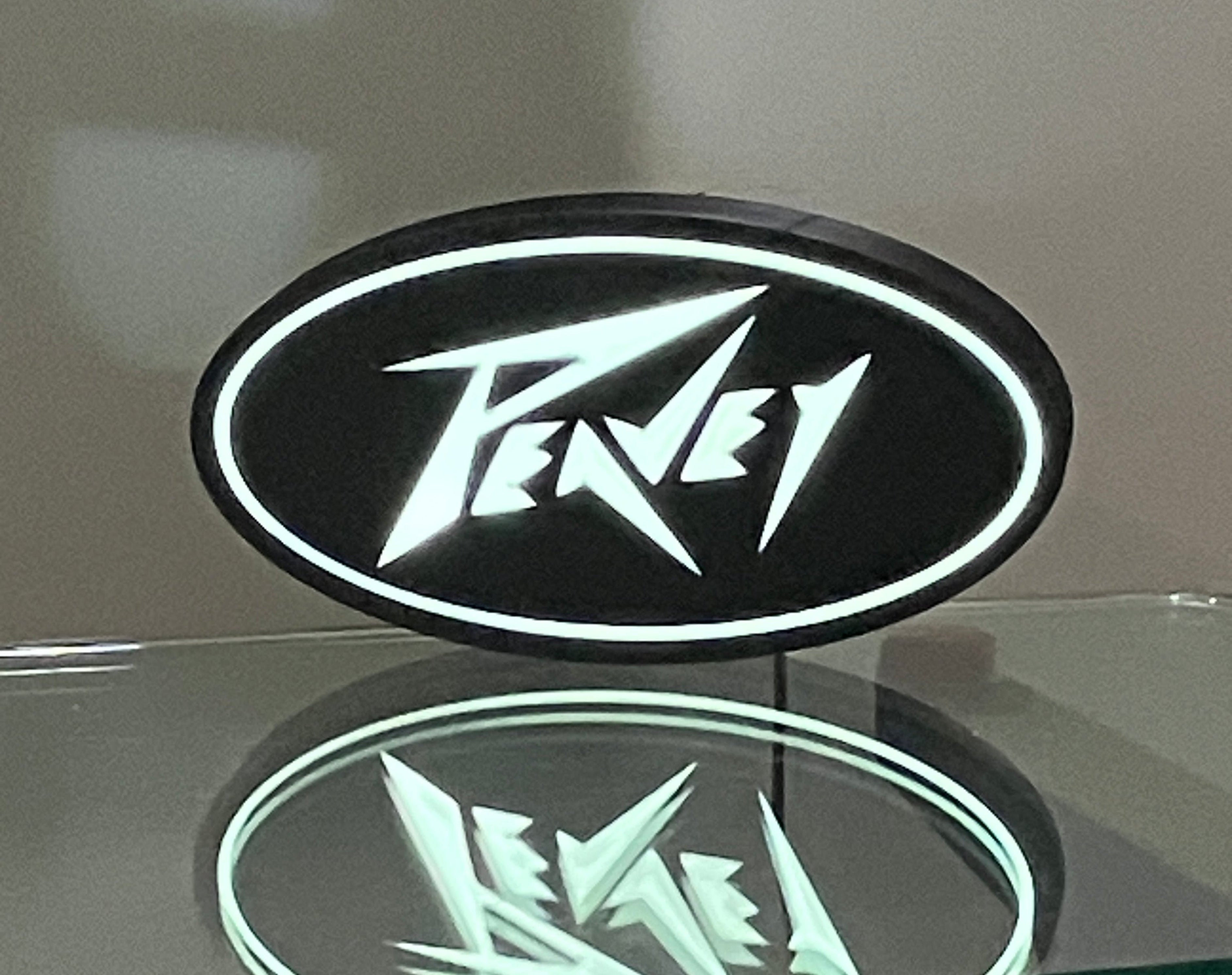 Custom Made 3d Peavy LED LightBox! Light  Box! Guitar